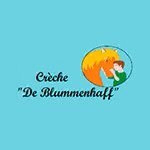 Faillite De Blummenhaff SARL - actif restant