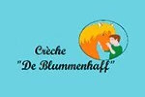 Faillite De Blummenhaff SARL - actif restant